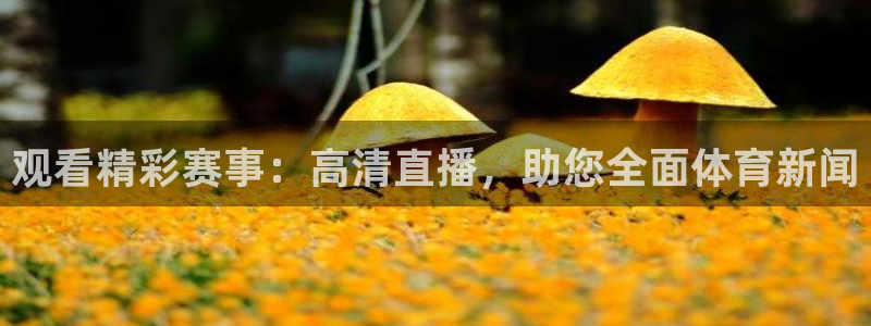 乐球直播吧
