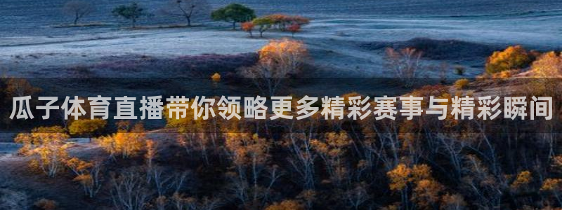 乐球直播lqtv