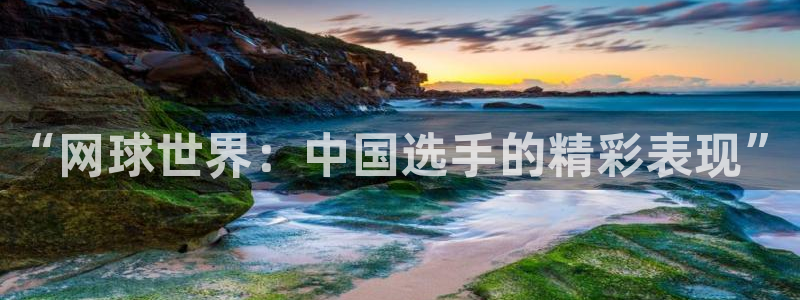 乐球直播(高清版)