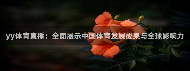 乐球直播(无插件)直播nba