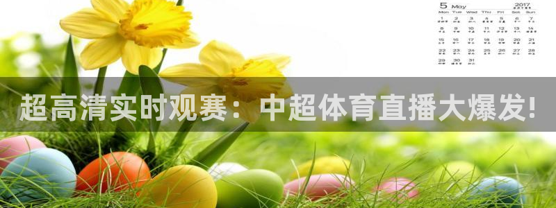 乐球直播在线观看免费nba直播