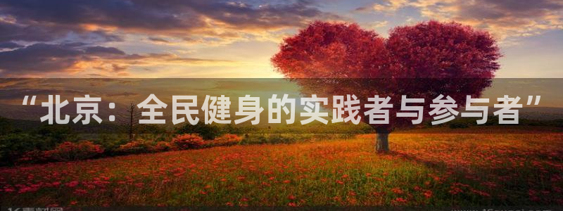 乐球直播nba在线观看
