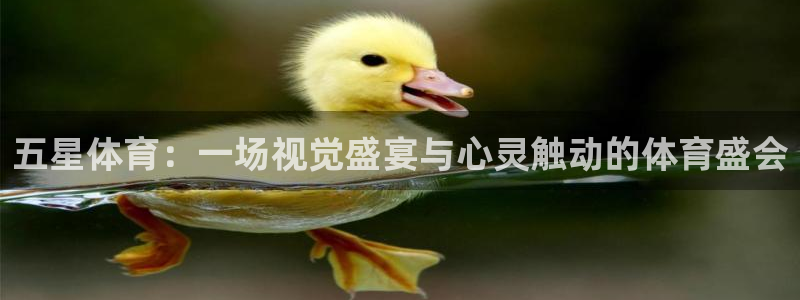 乐球直播nba免费观看高清