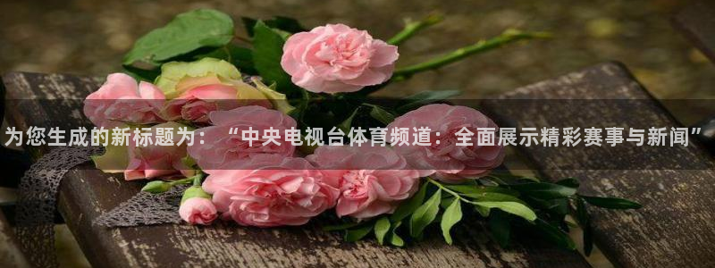 乐球直播在线看
